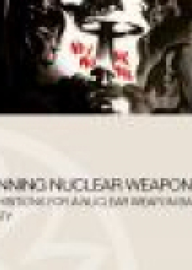 Banning nuclear weapons: prohibitions for a nuclear weapon ban treaty