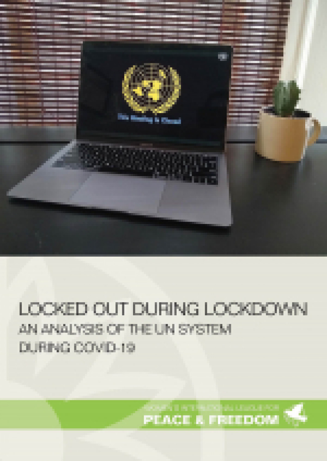 Locked out during lockdown: an analysis of the UN system during COVID-19