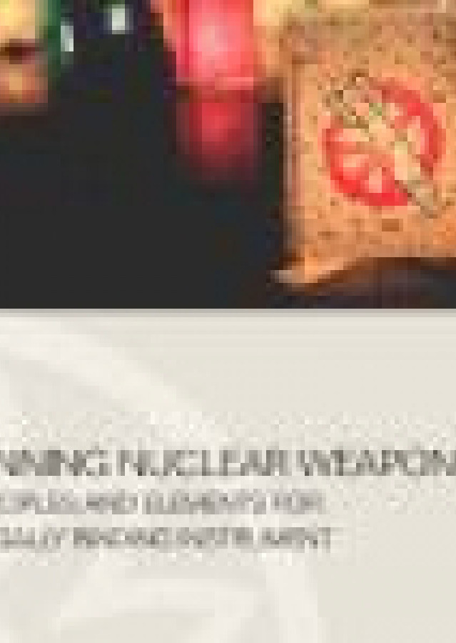 Banning nuclear weapons: principles and elements for a legally binding instrument