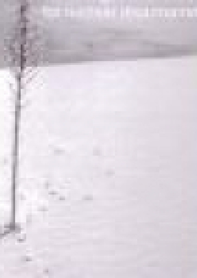 Beyond arms control: challenges and choices for nuclear disarmament