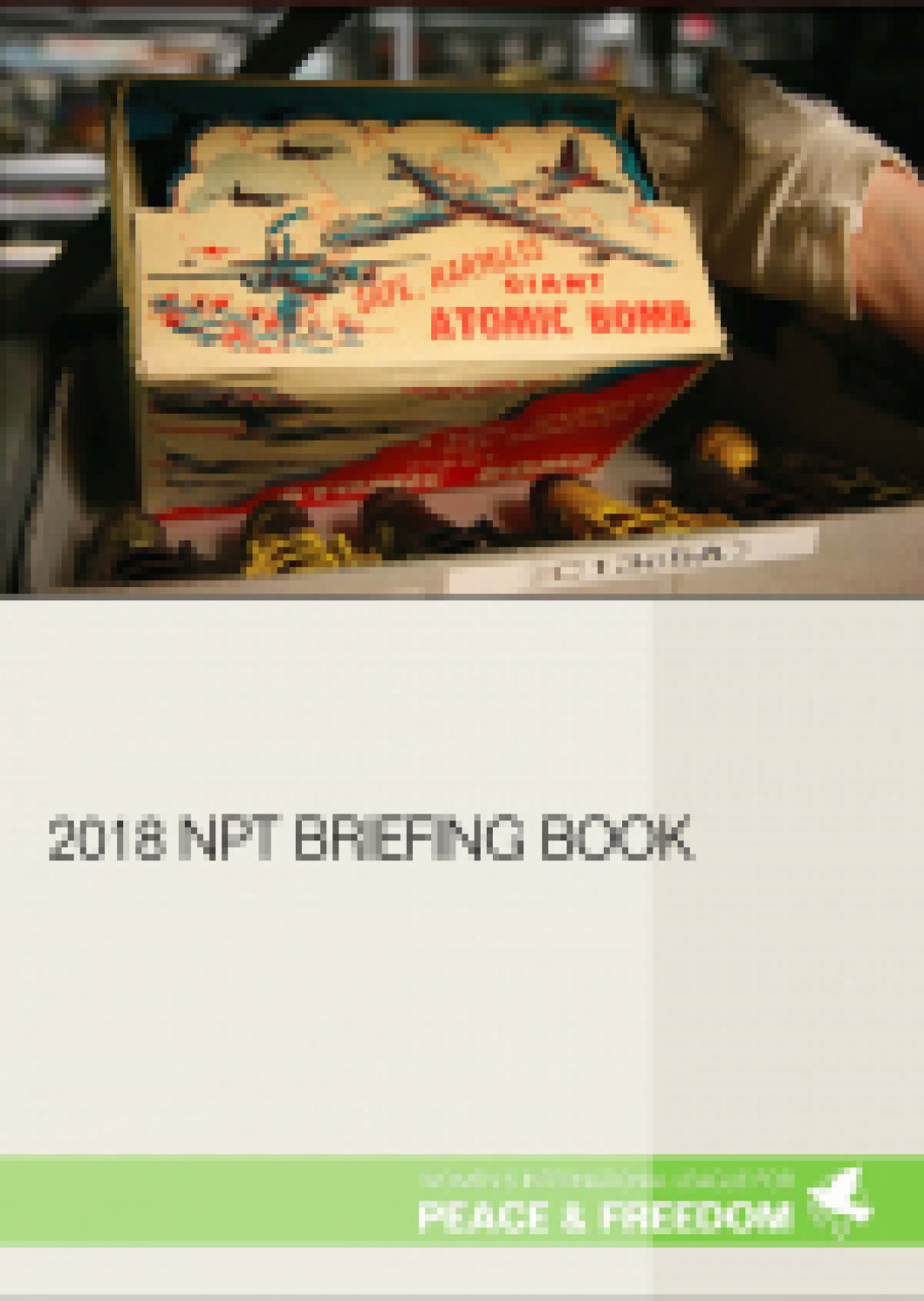 2018 NPT Briefing Book