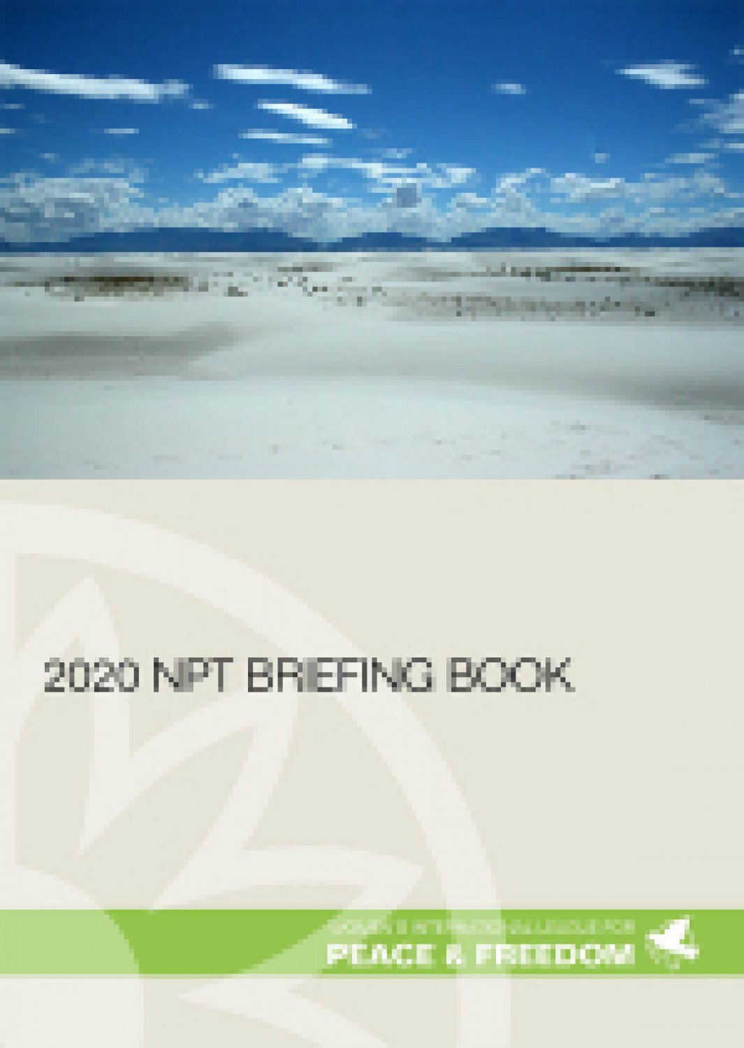 2020 NPT briefing book