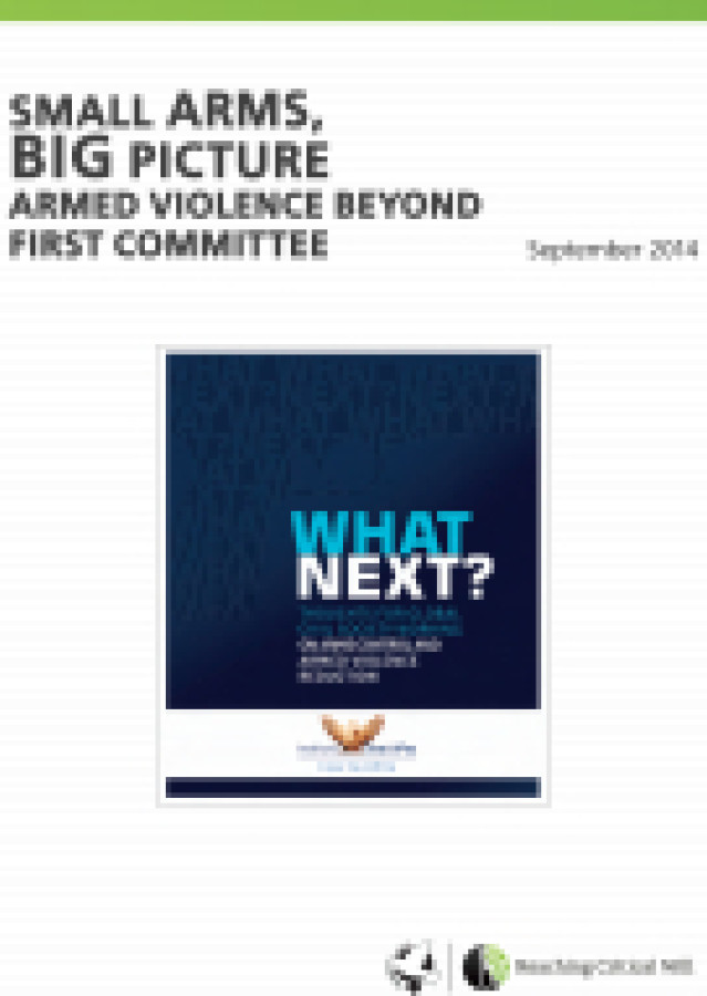 Small arms, big picture: armed violence beyond First Committee