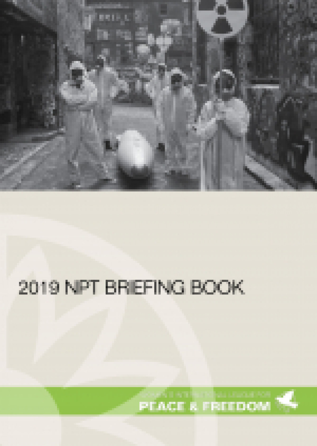 2019 NPT briefing book