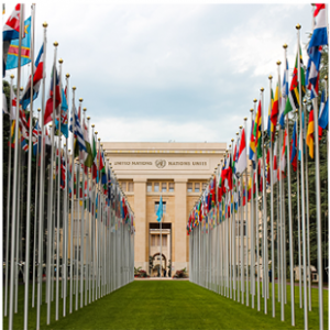 Convention on Certain Conventional Weapons