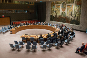UN Security Council