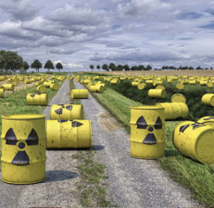 Environment and Disarmament