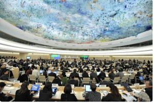 Human Rights Council