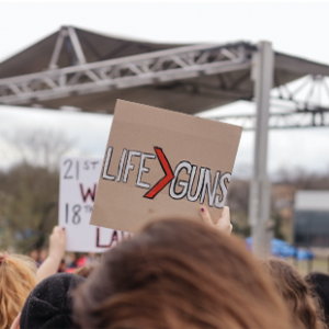 UN Programme of Action on Small Arms and Light Weapons