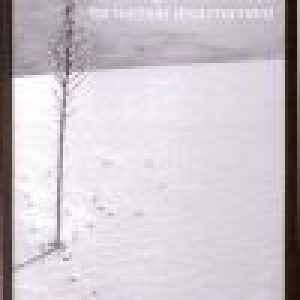 Beyond arms control: challenges and choices for nuclear disarmament