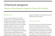 Chemical weapons in First Committee Briefing Book 2020