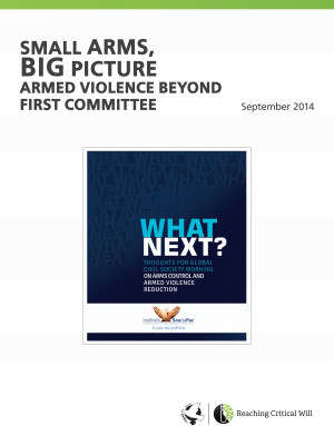 Small arms, big picture: armed violence beyond First Committee