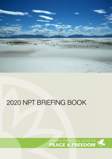 2020 NPT briefing book