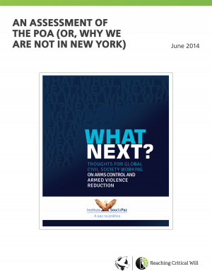 An assessment of the PoA